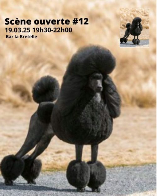 scene_ouverte